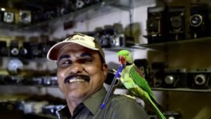 Chennai's Birdman